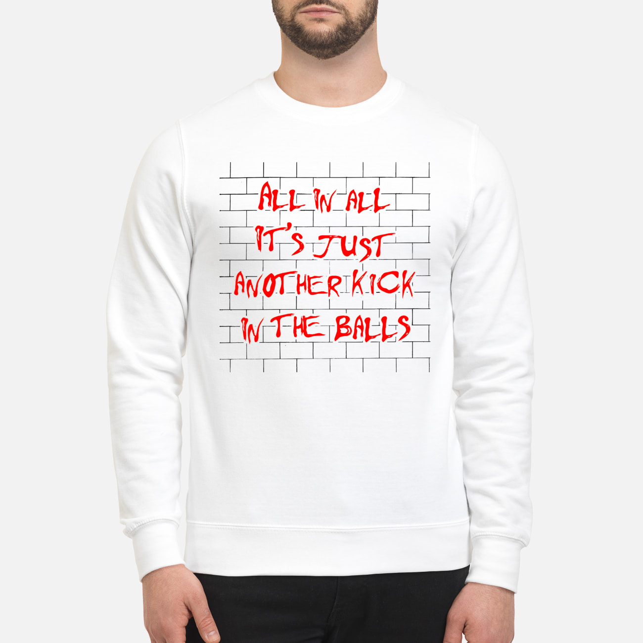 All In All It’S Just Another Kick In The Balls T-Shirt